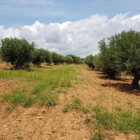 Land plot in Greece