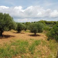 Land plot in Greece