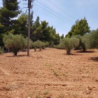 Land plot in Greece