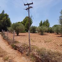 Land plot in Greece