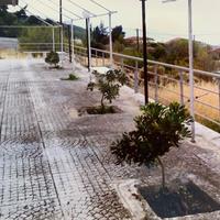 Business center in Greece, 240 sq.m.