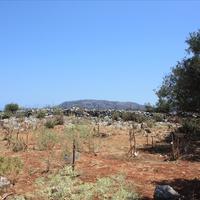 Land plot in Greece