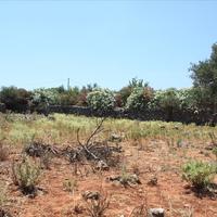 Land plot in Greece