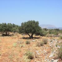 Земельный участок в Греции