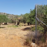 Land plot in Greece