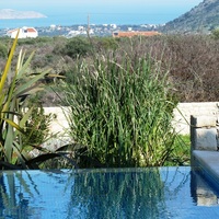 Villa in Greece, 263 sq.m.