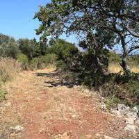 Land plot in Greece