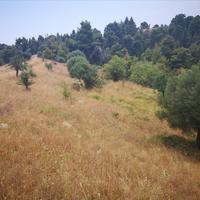 Land plot in Greece