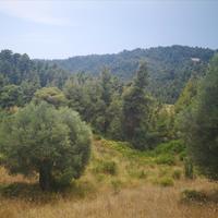 Land plot in Greece
