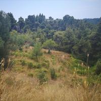 Land plot in Greece