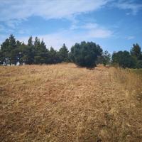 Land plot in Greece