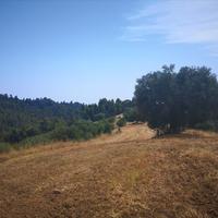Land plot in Greece