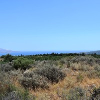 Land plot in Greece