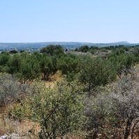 Land plot in Greece