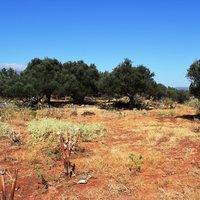 Land plot in Greece