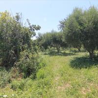 Land plot in Greece