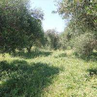 Land plot in Greece