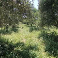 Land plot in Greece