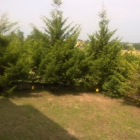 Другое в Греции, 250 кв.м.