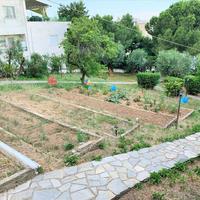 Земельный участок в Греции, 2020 кв.м.