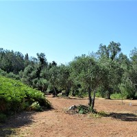 Land plot in Greece