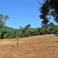 Land plot in Greece