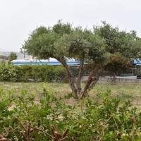 Flat in Greece, 90 sq.m.