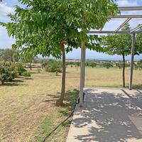 Other in Greece, 203 sq.m.