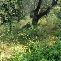 Land plot in Greece