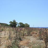 Land plot in Greece