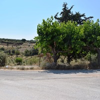 Land plot in Greece