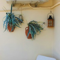 Квартира в Греции, 40 кв.м.