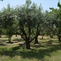 Other in Greece, 280 sq.m.