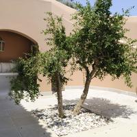 Villa in Greece, 280 sq.m.