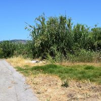 Land plot in Greece