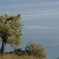 Земельный участок в Греции