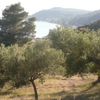 Земельный участок в Греции