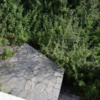 Другое в Греции, 240 кв.м.