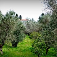 Other in Greece, 330 sq.m.