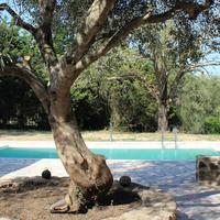 Villa in Greece, 185 sq.m.