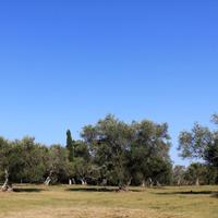 Villa in Greece, 185 sq.m.