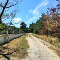 Villa in Greece, 280 sq.m.