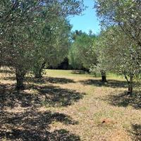 Villa in Greece, 280 sq.m.