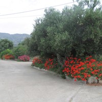 Business center in Greece, 579 sq.m.