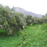 Business center in Greece, 579 sq.m.