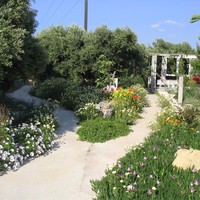 Business center in Greece, 579 sq.m.