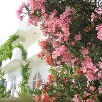 Business center in Greece, 579 sq.m.