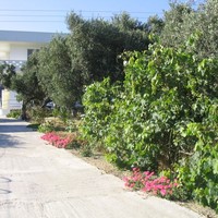 Business center in Greece, 579 sq.m.