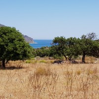 Land plot in Greece