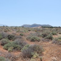 Land plot in Greece